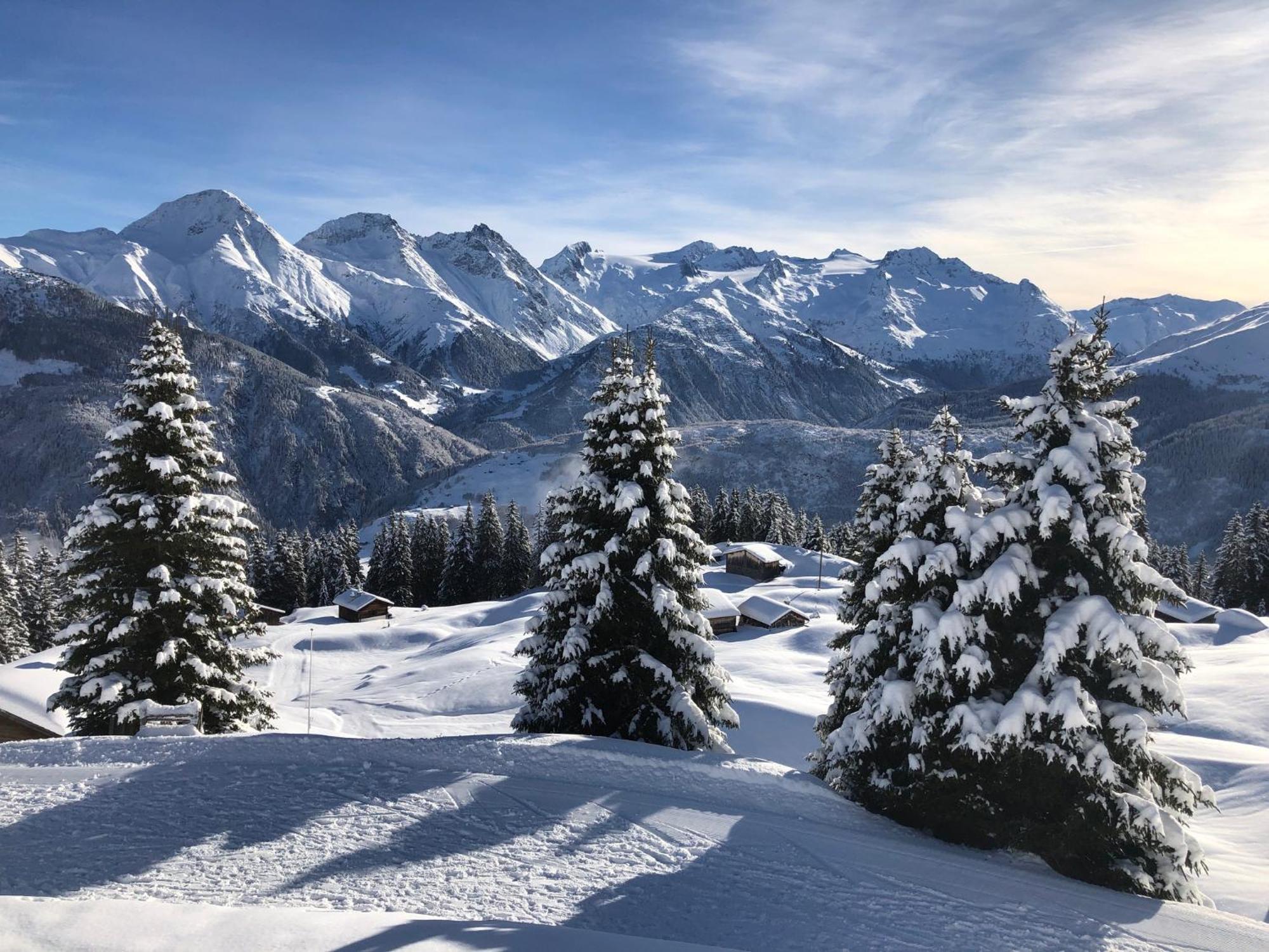 Hotel Alpsu Disentis Kültér fotó